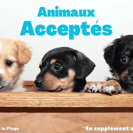 1 Pour 4 A Saint-jean-de-monts, Proche - Fr-1-323-515 Lägenhet